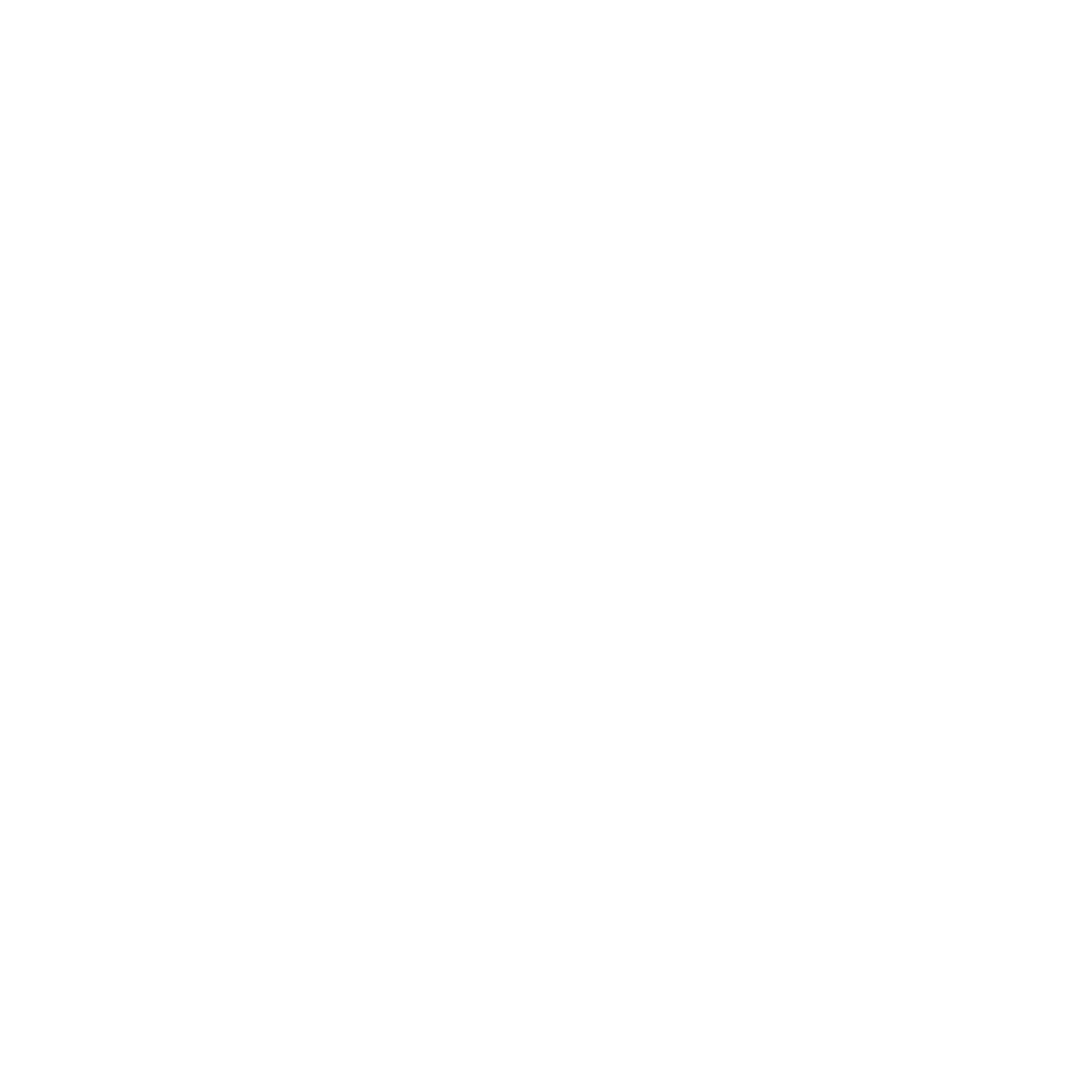 SPX Logo white on transparent background